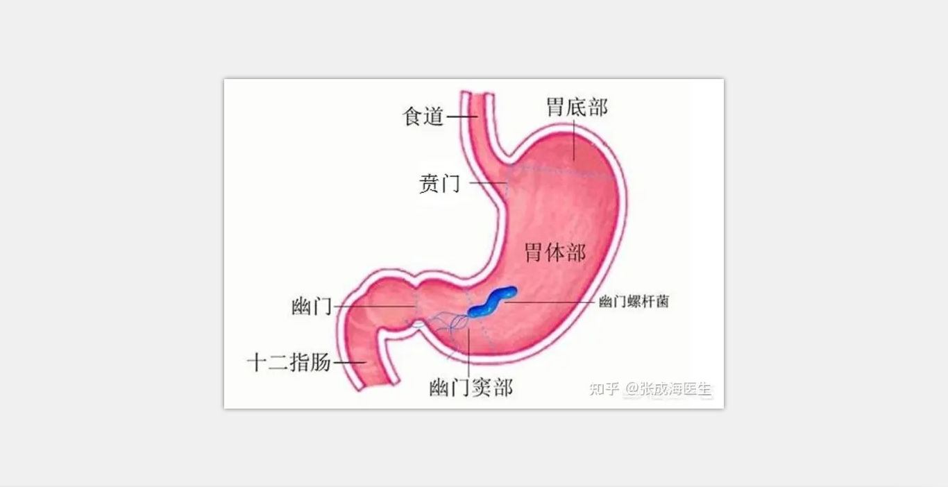 菏澤醫(yī)專附屬醫(yī)院